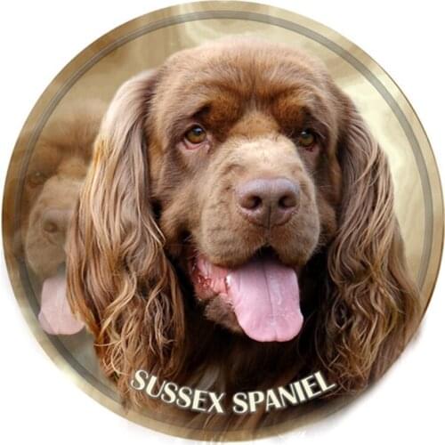 S40374# Various Sizes PVC Decal Sussex Spaniel Dog Animal Car Sticker For Bumper Rear Window Laptop Refrigerator Toilet