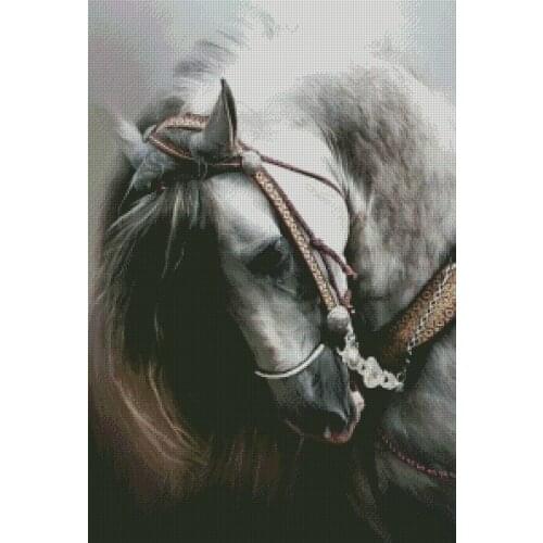Top new Embroidery Counted Cross Stitch Kits Needlework Crafts 14 ct DMC Color DIY Arts Handmade Decor Black horse