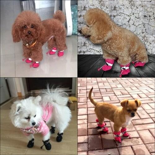 Albeey Shoes For Dogs