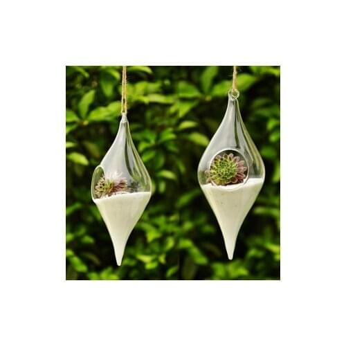 New arrival zakka transparent oval glass vase home decoration floral device 2pcs/lot