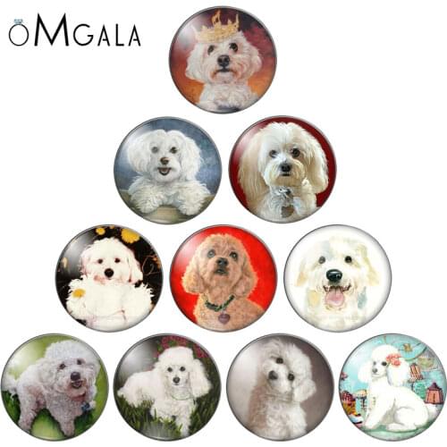 Oil Painting DOG mixed 12mm/18mm/20mm/25mm glass snap button Round photo glass cabochon demo flat back Making findings