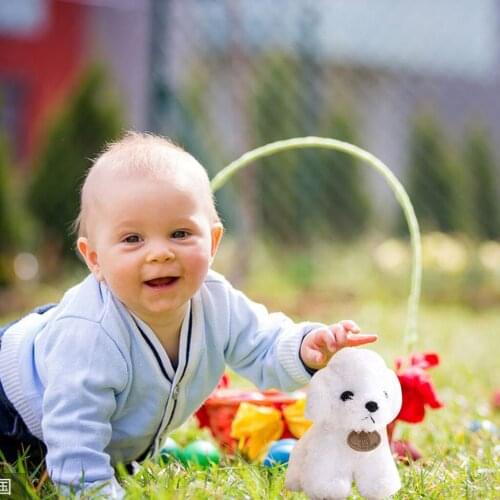 Puppy plush toy doll teddy dog stuffed plush toys cute simulation animal doll Decoration For children Toy