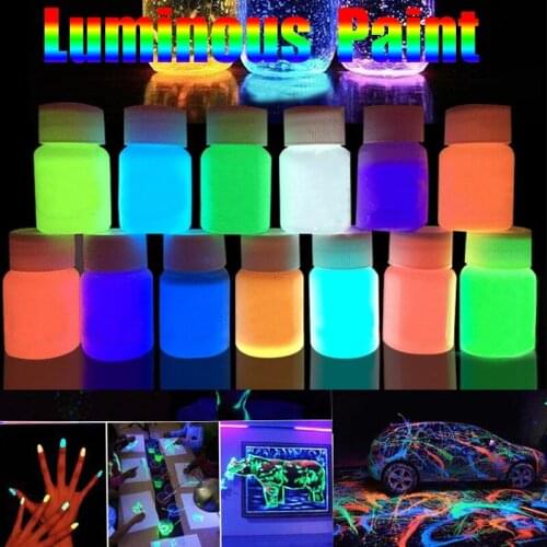 13 Colors Acrylic Paint Glow in the Dark gold Glowing paint Luminous Pigment Fluorescent Powder painting for Nail Art supplies