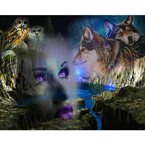 JMINE Div 5D lady wolf owl Mountain Full Diamond Painting cross stitch kits art High Quality Animal 3D paint by diamonds