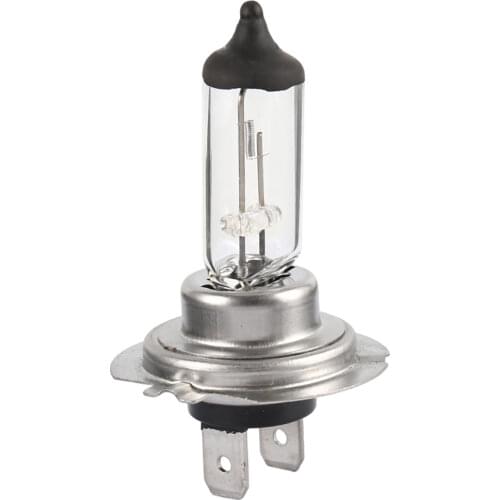 Everso Halogen Lamps