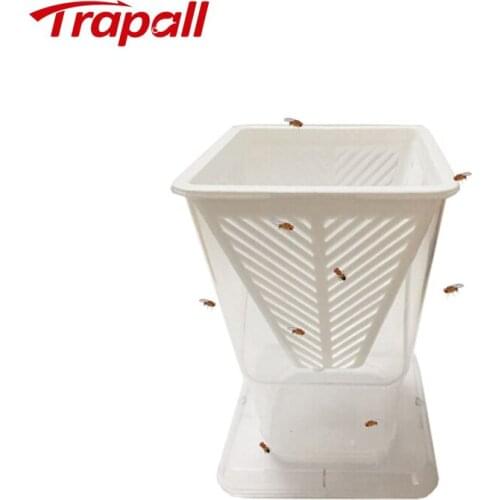 Trapall Insect Traps