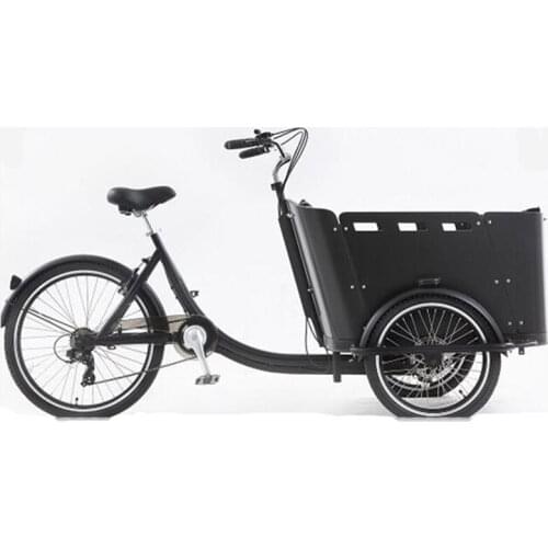 4 Seats Electric Family Cargo Bike Adult Tricycle for Transport and Grocery Shopping The Most Advanced Cargo Bike Ever Built