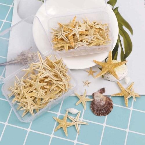 Box Natural DIY Nail Art Decoration Mini Shells Starfish Conch Shells Starfish Ornaments Manicure Tools