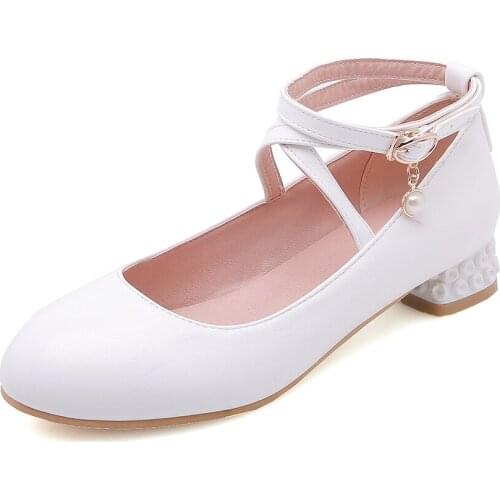 Institute of the wind in the spring and autumn of 2019 new students with low side with cingulate