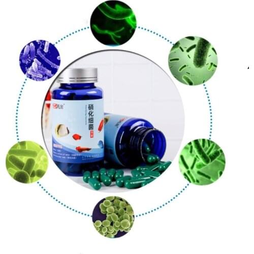 20/30/50/80/100 Pcs Aquarium Nitrifying Bacteria Concentrated Capsule Fish Tank Pond Cleaning Fresh Water Supply