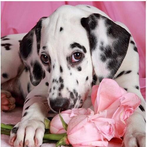 Diamond painting labrador dog embroidery mosaic animals diamond dot sticker rhinestone pasted poster puzzle drawing picture diy