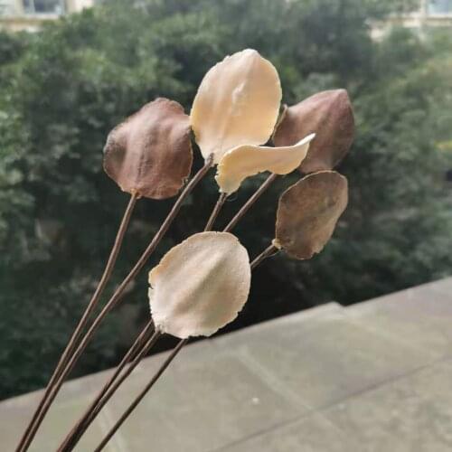 4pcs/30cm,Natural Dried Craft Bract Petals with Wire Branch,DIY Dried Display Flowers for Home Wedding Arrangement Decoration
