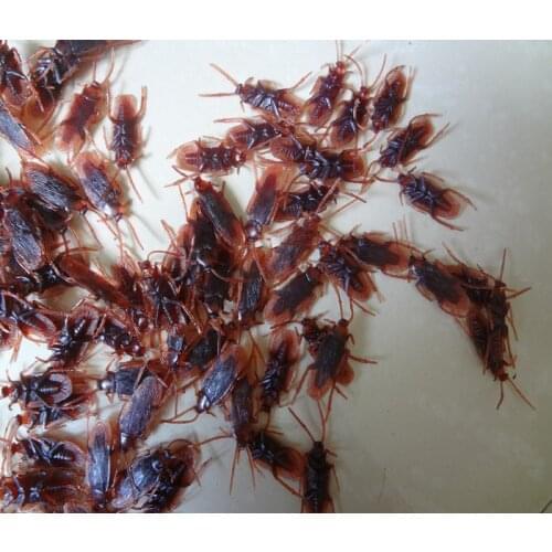 April Fools Day Toys Tricky whole person home cockroach simulation roach scary insects