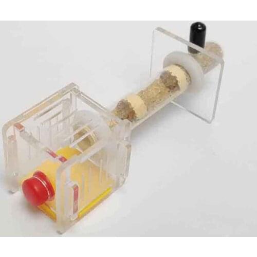 Mini Ants Nest Farm With Area and Bamboo Joint Tube Insect Terrarium Popular Science Gifts