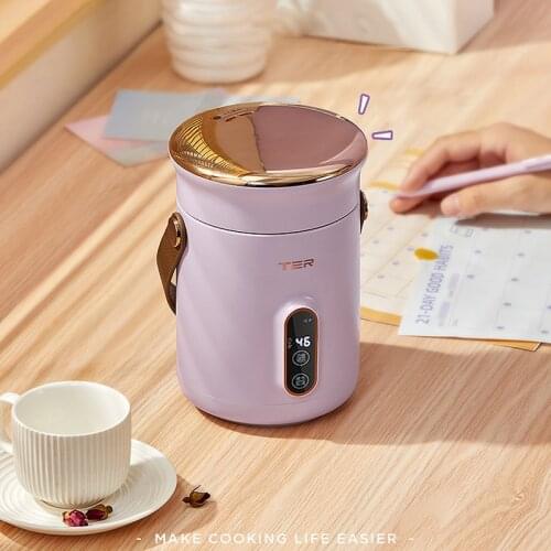 500W Electric Stew Pot Slow Cooker Tea Maker Portable Cooking Pot Stewing Porridge Soup with Appointment For Home Travel 600ml