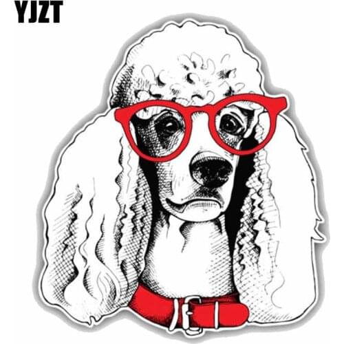 YJZT 14CMx15.5CM Fashion Poodle Dog Face Sketch Car Bumper Window Waterproof PVC Sticker Decal C1-9070