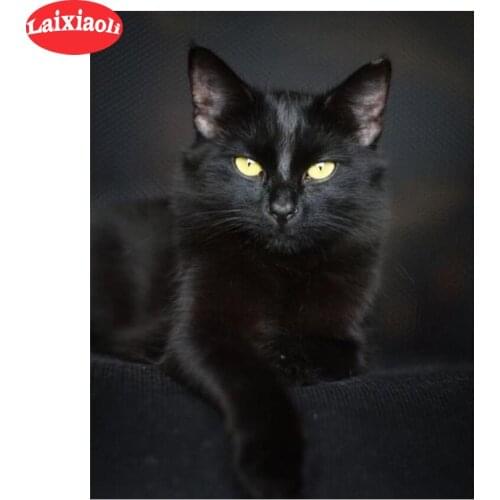 Diamond Embroidery black cat 5D DIY Diamond Painting Diamond Mosaic needlework halloween picture full rhinestone living room art
