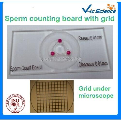 High Quality Sperm Counting Board With Grid