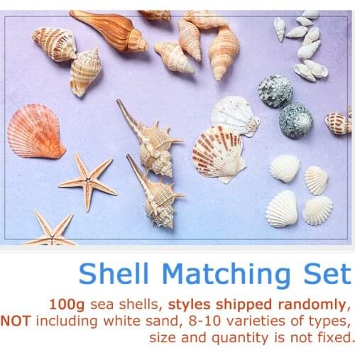 100g Natural Sea Shell Starfish Conch Matching Set 8-10 Varieties Types Ship Randomly 100g/Set Background Photography Props