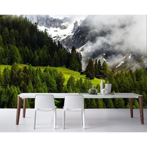 Switzerland Mountains Forest Nature photo 3d wallpaper,living room sofa TV backdrop bedroom kitchen wall papers home decor mural