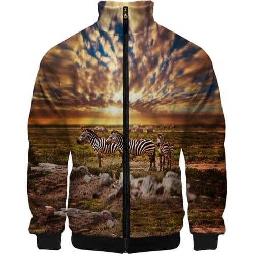 New Horse and Zebra Costume Animal 3D Stand-up Collar Hoodie Men Women Zipper Hoodies Jackets Long Sleeve Unisex 3D warm Tops