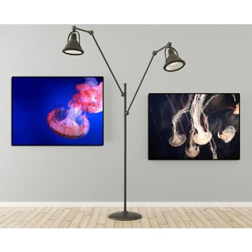 Nordic Black and White Aquatic Canvas Painting Animal Poster And Print Wall Art Pictures for Living Room Home Decor