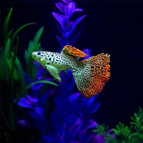 Aquarium Artificial Luminous Joker Fish Tank Landscape Silicone Fake Fish Floating Glow In Dark Ornament Home Decoration
