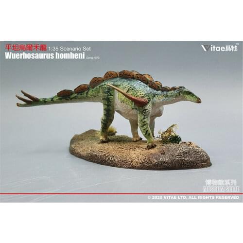 IN STOCK! Vitae 1:35 Scale Wuerhosaurus homheni Dong Figure Stegosaurus Dinosaur Toys Animal Collector Animal Adults Gift