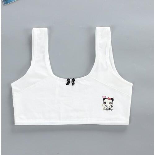 New cute bra girl bra developmental period cotton cartoon mesh breathable summer tube top 8-16 years old training bras