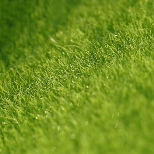 5pcs green Grassland fairy garden miniatures lawn miniatures for terrariums 15cm*15cm miniature Accessories home decoration