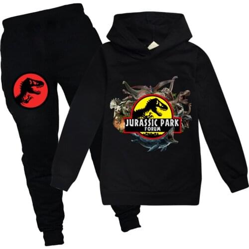 2021 Jurassic Park World Dinosaur 3D Print Tiny Cotton Hoodies For Boys and girls Hiphop Sweatshirt Children Set Clothes Top Tee
