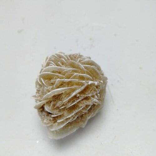 1 pc 30-40g rare fossil stone specimen desert rose crystal chakra stone teaching specimen collection gift