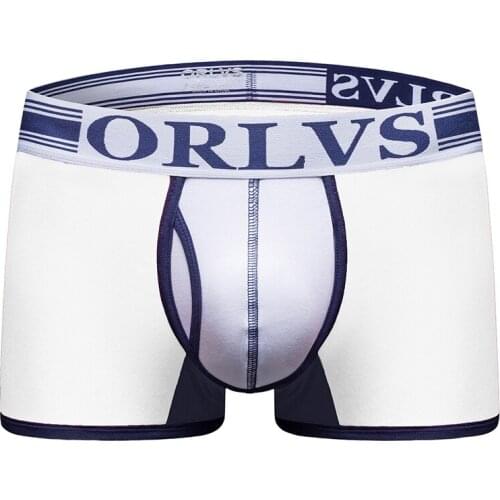 2020 ORLVS Brand New designed Brand Men Underwear Briefs Slip Mesh Shorts Cueca Gay men sexy Male panties Breathable OR159