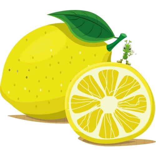 Dropshipping Payment Tool Sets