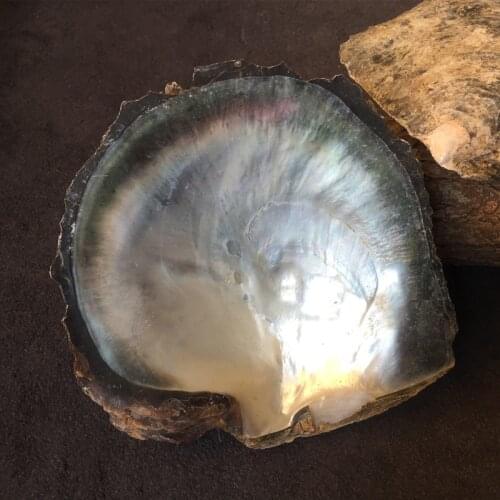 Natural Black Mother of Pearl Shell Home Decoration Aquarium Landscaping Photography Props DIY Crafts Carved Inlay Material 1pcs