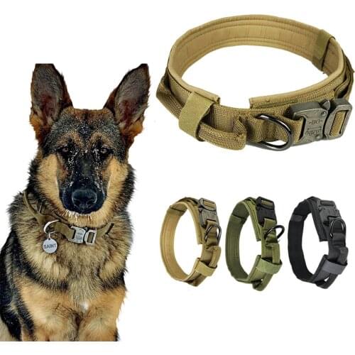 Collar Perro Personalizado Dog Accessories Pet Coleira Collier Chien Obroza Dla Psa Cachorro Para Halsband Hond Honden Pug Big