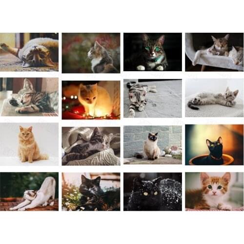 Diy Diamond Painting Cute Little Flower Cat Garden Cat Pet Cat Modern Home Decoration Painting Girl Bedroom Hanging Painting