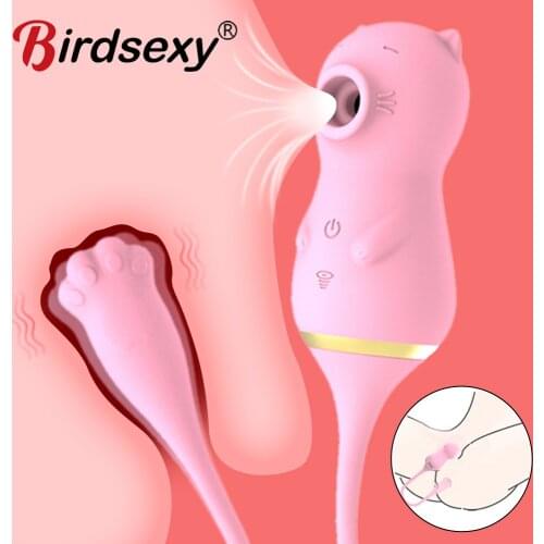 2 In 1 Sucker Vibrator Vibrating Egg Sex Toys for Women G-spot Clitoral Stimulator Nipple Sucking Vibrators Female Masturbator