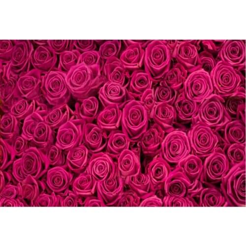 Flower Backdrop Beauty Rose Red Roses Party Photography Background Holiday Celebration Photo Booth Studio Decor