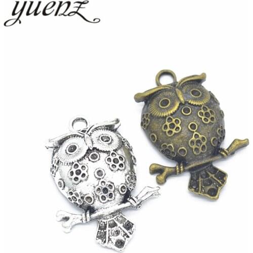 YuenZ 2pcs 2 color Antique silver color Alloy owl charms Pendant Jewelry Findings 43*29mm D146