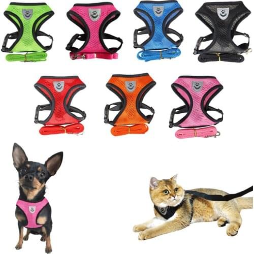 Ошейники для кошек HEMENG China At AliExpress