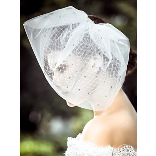 Wedding Bridcage Veil with Rhinestones Embellishments Comb Floral Fascinator Netting Short Blusher Veil for Brides