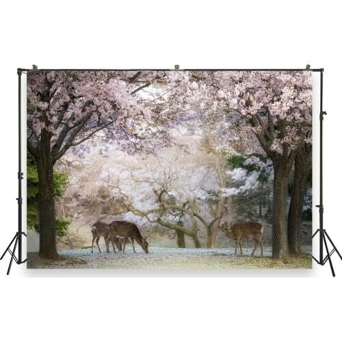 HUAYI Photo Background Newborns Baby Birthday Photography Backdrops Portraits Forest Custom Studio Photobooth Backdrop XT-6779