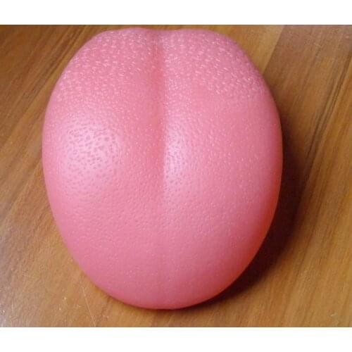 High Simulation Human Tongue Model Oral Care Medical Teaching Model Human Torse Anatomical Model Science Educational Equipment