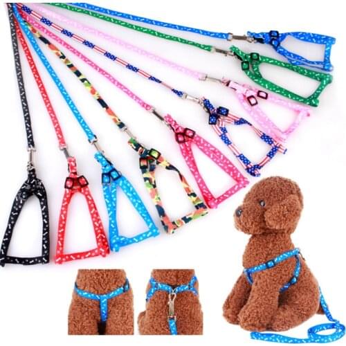 Nylon Dog Leash Harness Set Adjustable Colorful Printed Small Dog Cat Chest Strap Traction Rope Puppy Walking Chihuahua Perro
