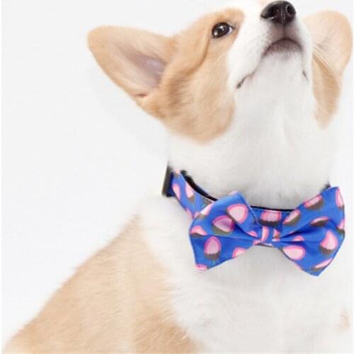 Pet Dog Collar Necktie Bibs Set Puppy Yorkshire Pomeranian Poodle Bichon Schnauzer Pug French Bulldog Corgi Pet Collar Dropship