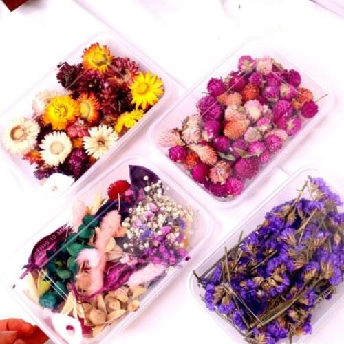 1Box Crystal Epoxy Filler Dry Flower Mixed Nail Stickers Decorations Art Crafts
