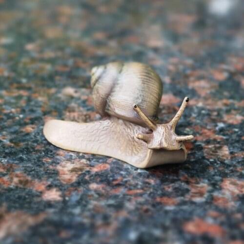 Miniature Landscape Decoration Snails Figure Collectible Toys Wild Animal Cognition Action Figures Kids