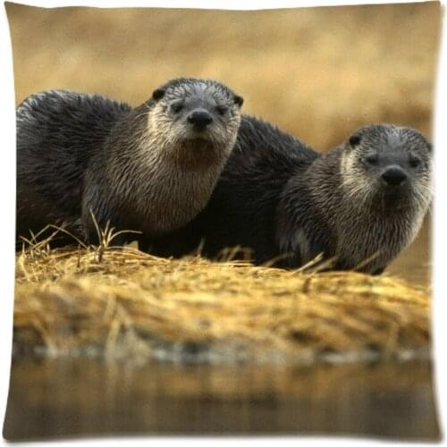 Cotton Linen Sea Otter Custom Cushion Cover Decoractive Pillow Cover Throw Pillow Case kids Gift 45X45CM