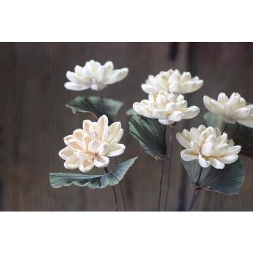 5pcs White Water Lily Dried Flower For Wedding Party Home Hotel Decoration DIY Bouquet Project Accessory